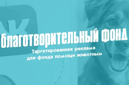Таргетированная реклама ВКонтакте для благотворительного фонда — как пригласить людей на выставку кошек и собак из приюта