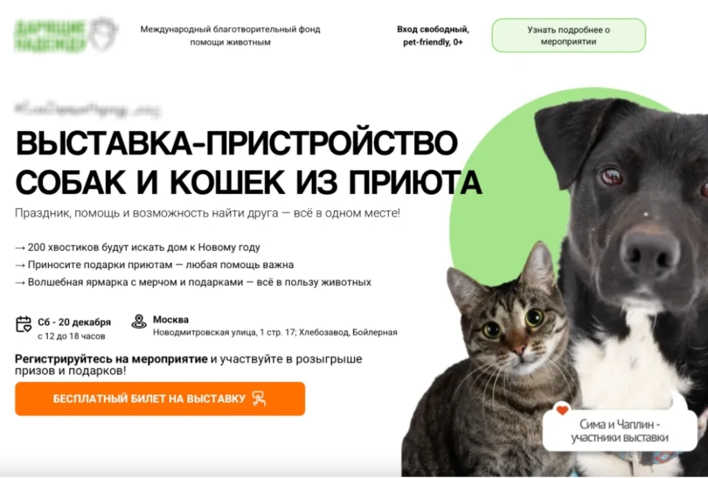 Пример первого экрана сайта-квиза для выставки животных